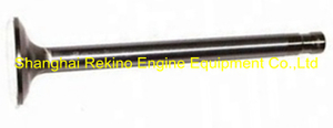 CCEC Cummins NT855 exhaust valve 145701 engine parts